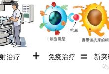 放疗与免疫治疗在恶性肿瘤治疗中的相互作用-器械之心