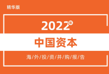 2022年中国资本海外投资并购报告-器械之心